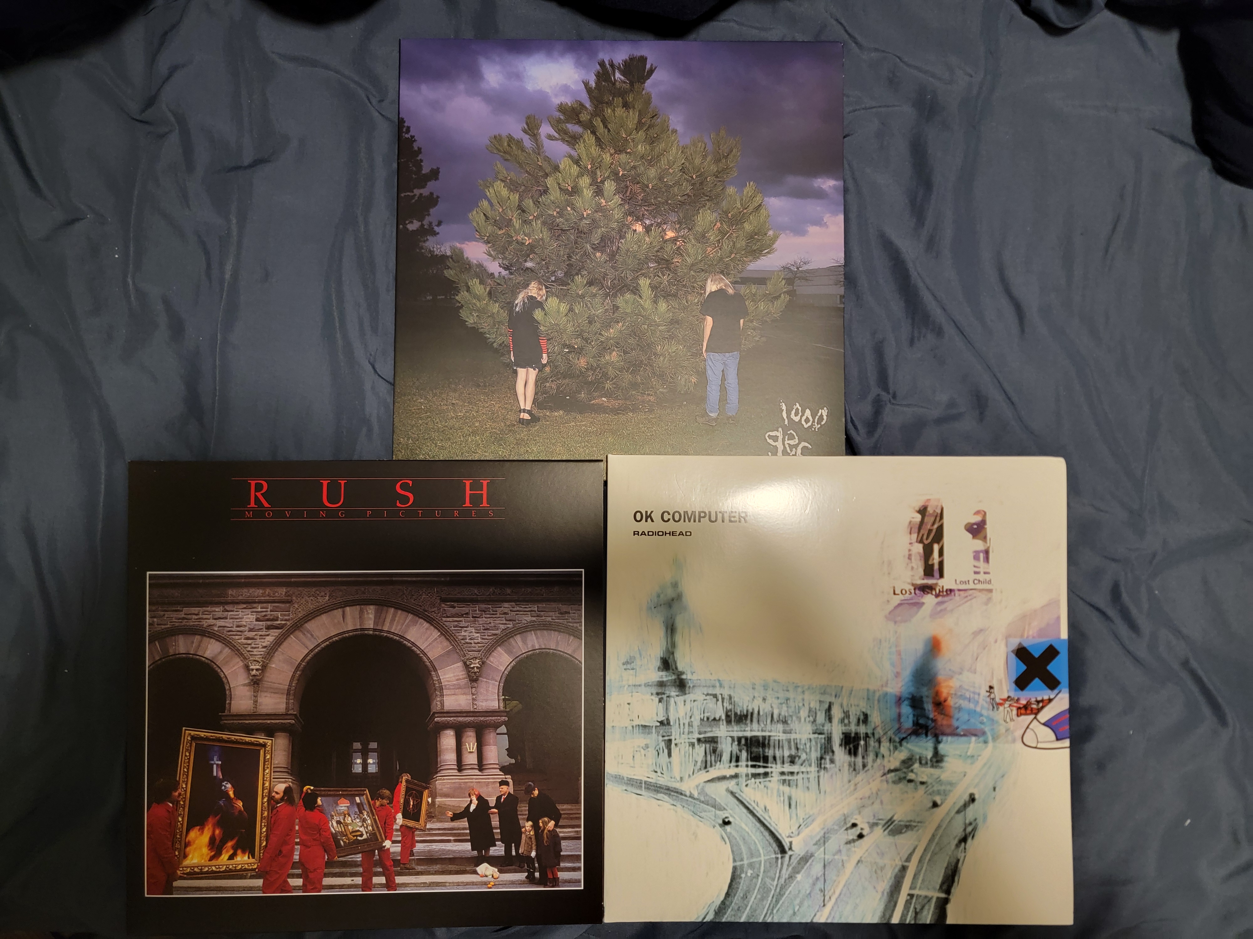 The vinyl records I purchased. 1000 gecs by 100 gecs, Moving Pictures by Rush, and OK Computer by Radiohead.